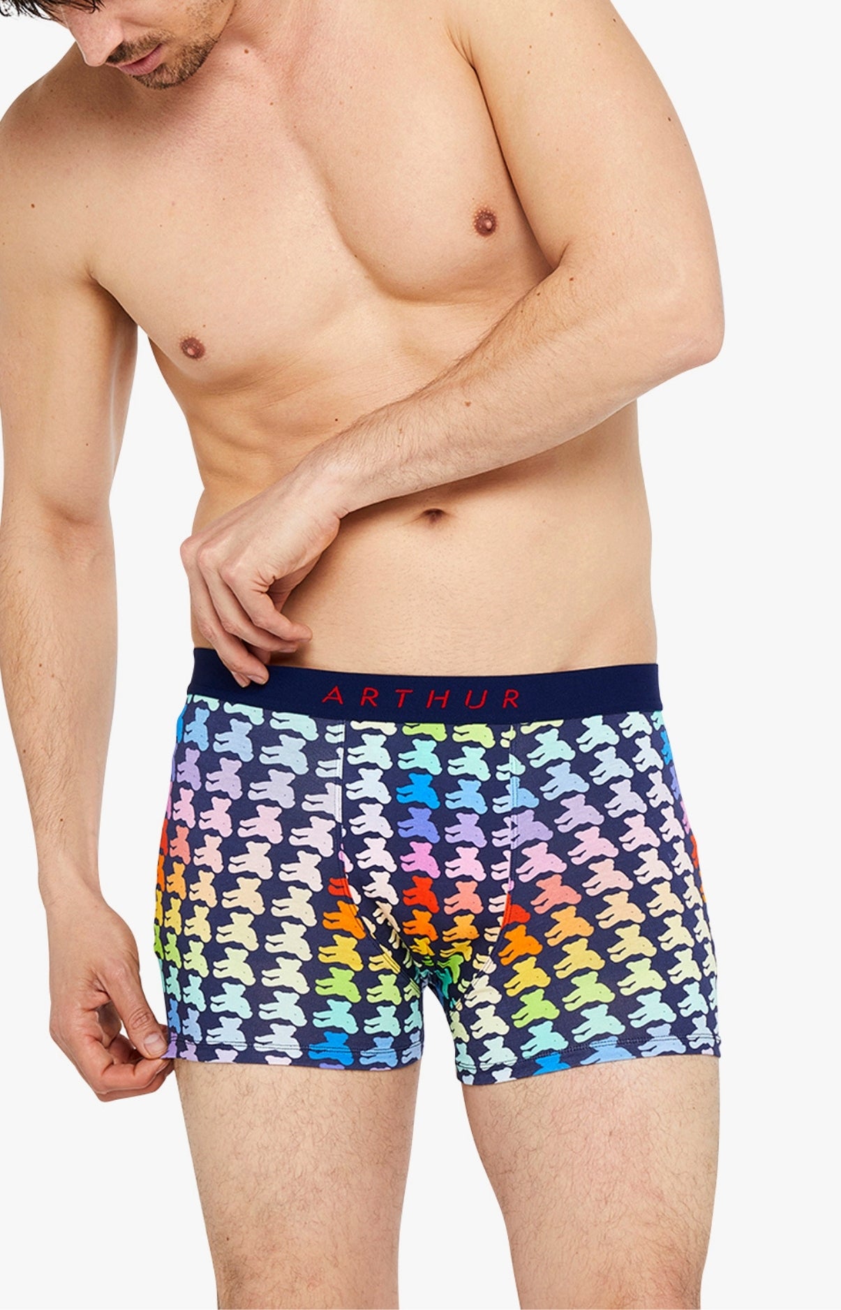 arthur-bob-teddy-boxer-homme-multicolore-coton-bio image 1