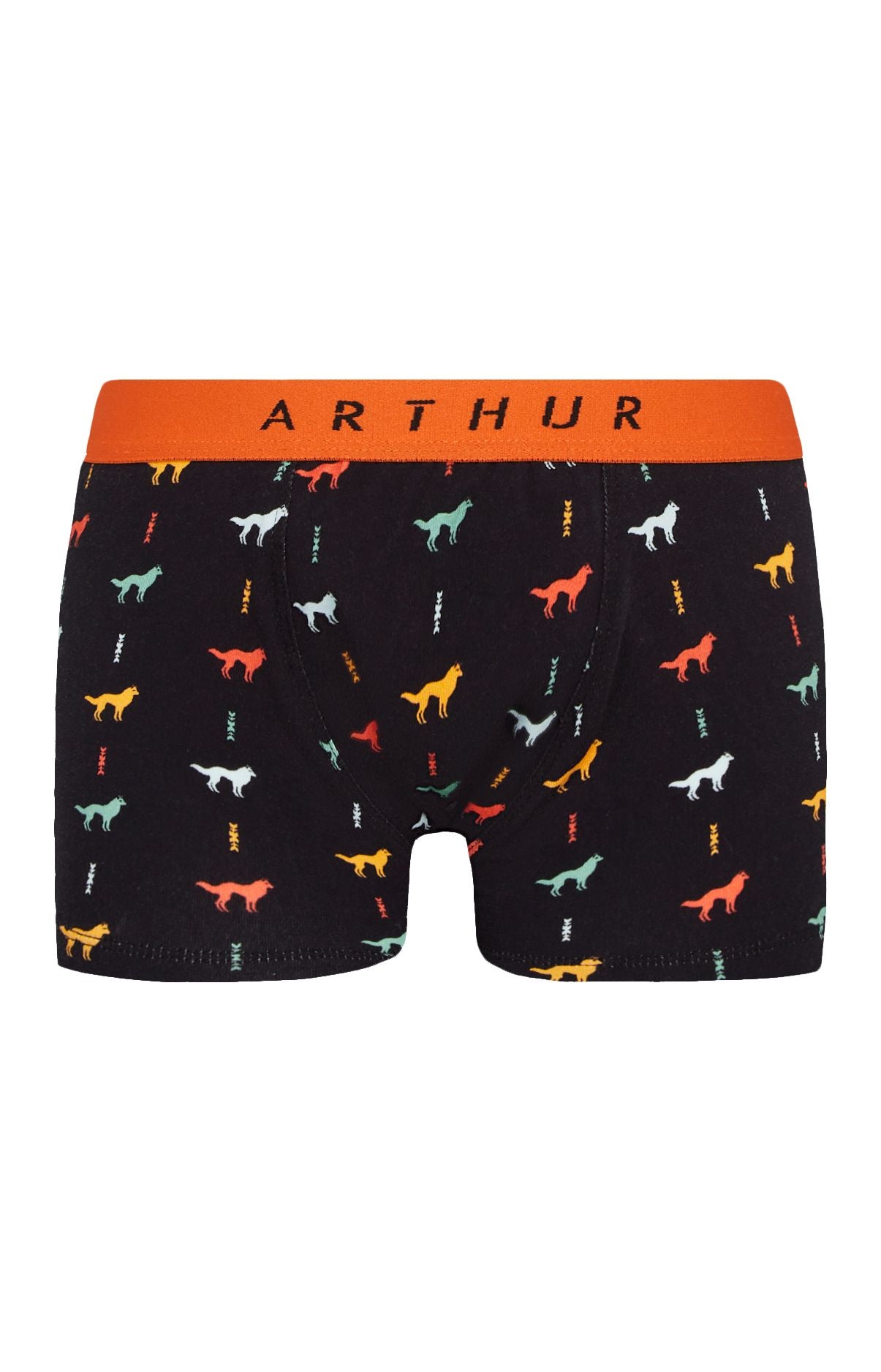 arthur-jeune-loup-boxer-enfant-noir-10-12-ans image 3