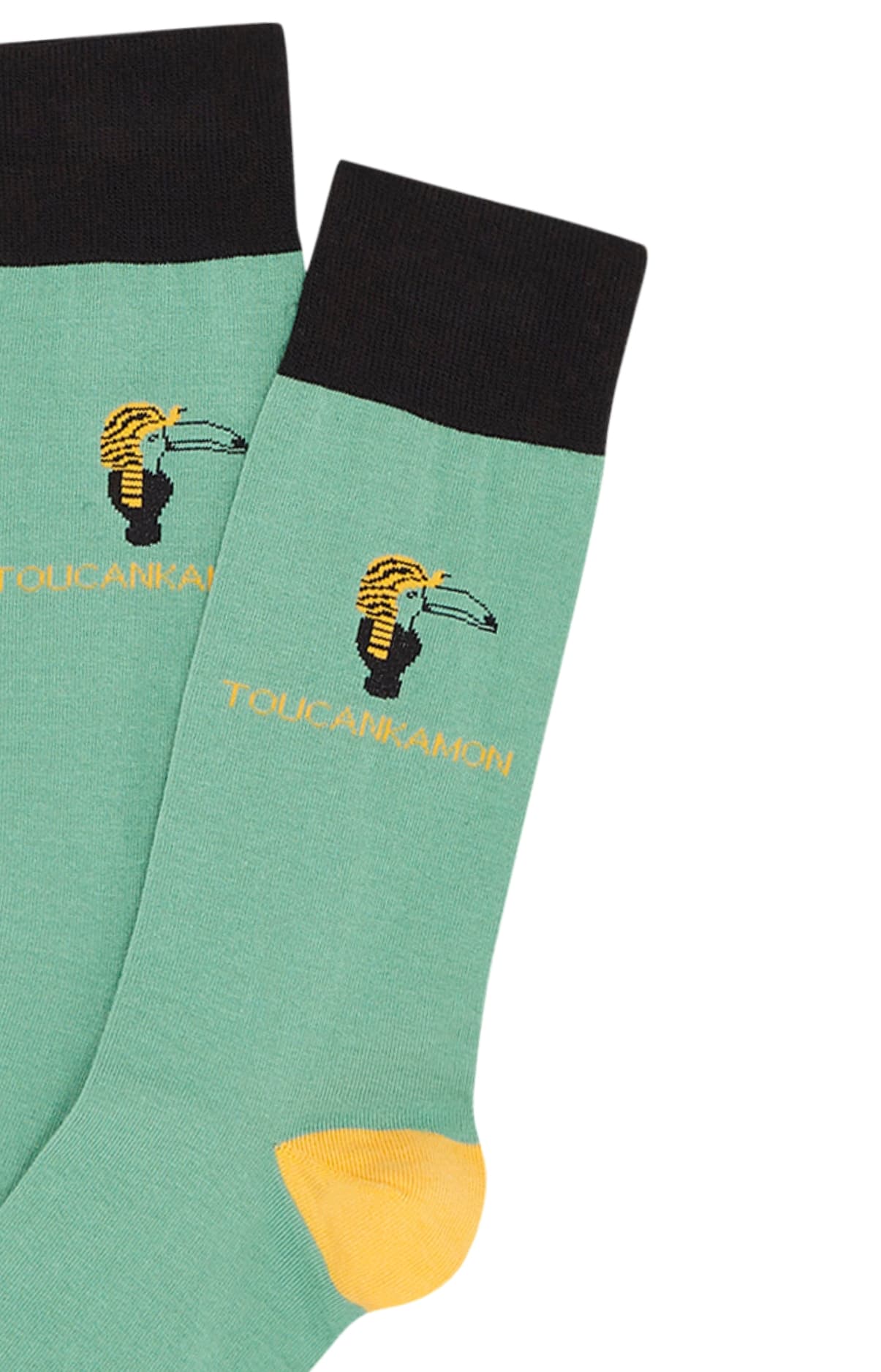 arthur-bob-toucan-bleu-chaussettes-homme-vert-40-46-coton image 2