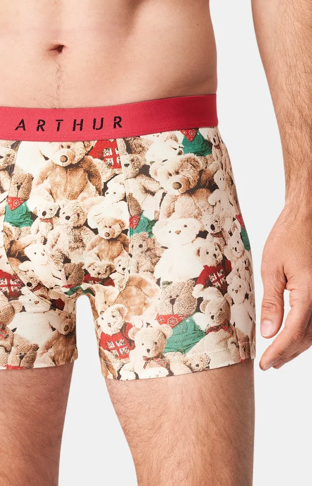 arthur-bob-teddy-bear-boxer-homme-brun-coton-bio image 1