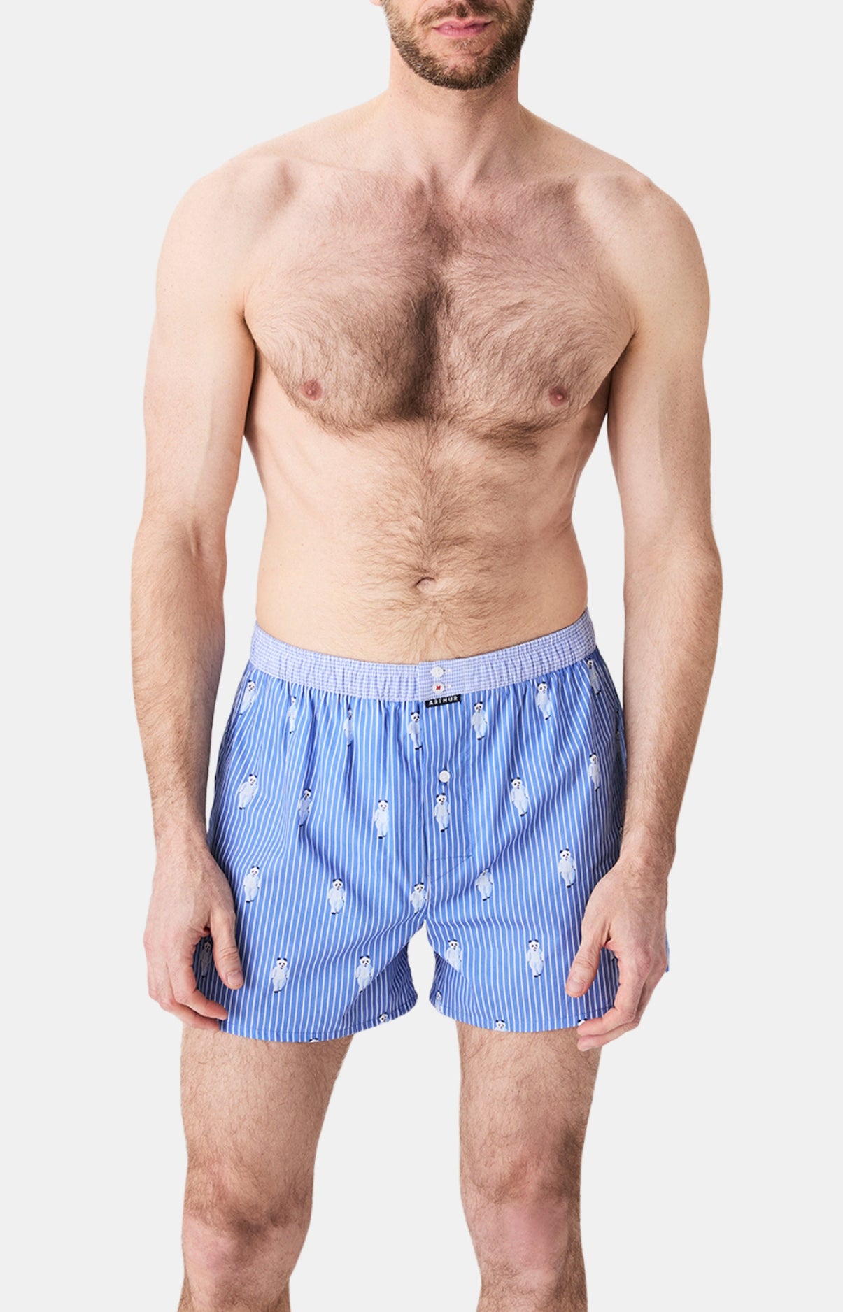 arthur-le-club-n-1189-cale-on-homme-panda-coton-bio image 2