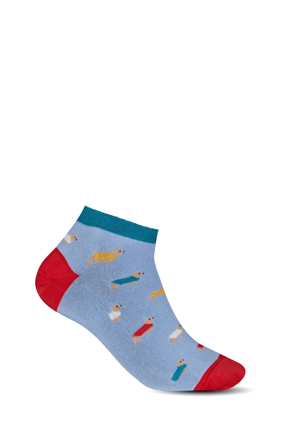 arthur-bob-teckel-chaussettes-femme-bleu-coton image 1