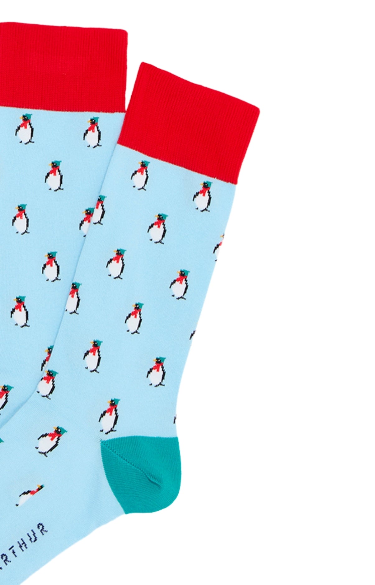 arthur-bob-pingouin-lagon-chaussettes-coton image 2