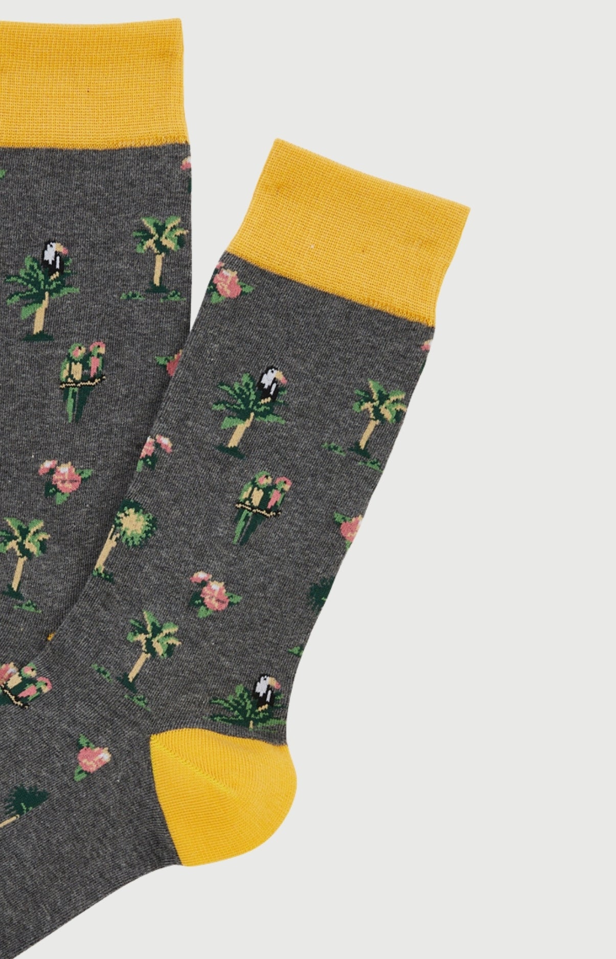 arthur-bob-perroquet-gris-chaussettes-homme-coton-bio-gris image 2