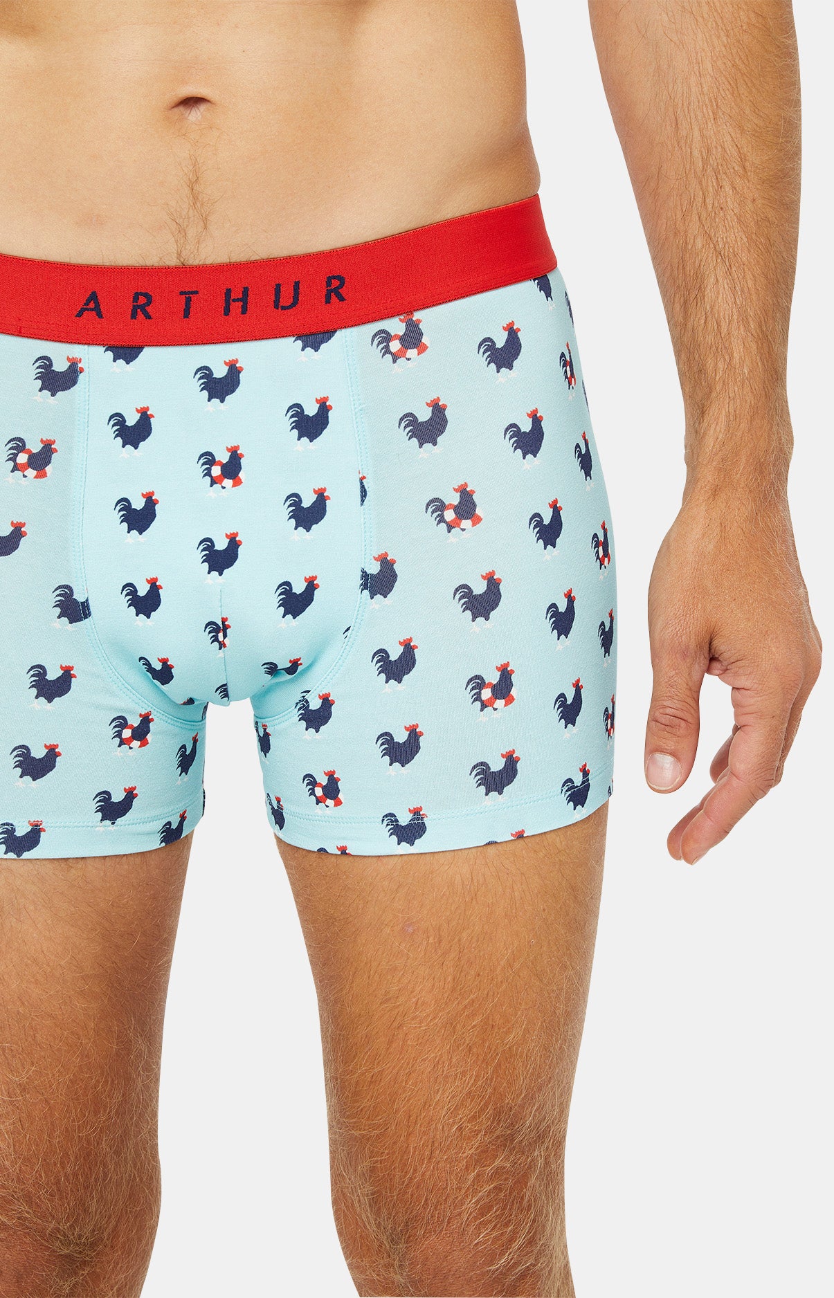 arthur-bob-coq-boxer-homme-bleu-ciel-coton-bio image 2