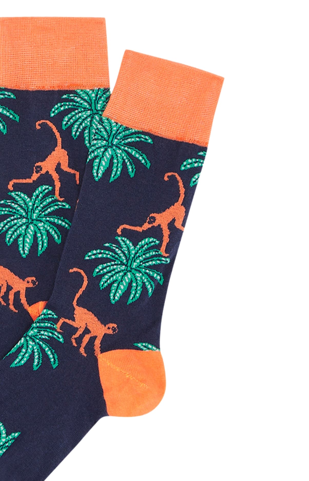 arthur-bob-singe-marine-chaussettes-homme-40-46-coton-bio image 2