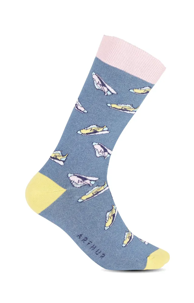 arthur-bob-duck-chaussettes-sneakers-duck-39-45 image 1