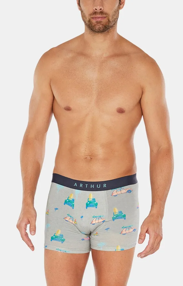arthur-bob-2cv-gris-boxer-gris-coton-bio-homme image 1
