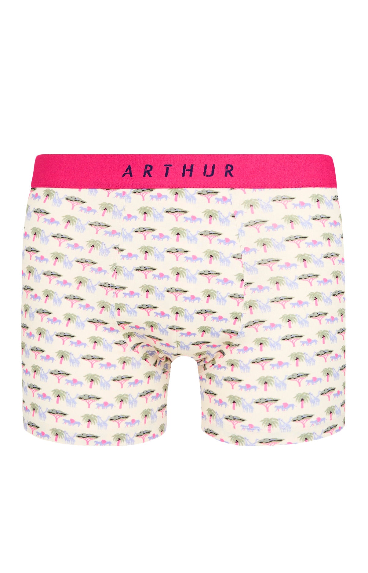 arthur-comment-savane-boxer-homme-multicolore-m-coton-bio image 3
