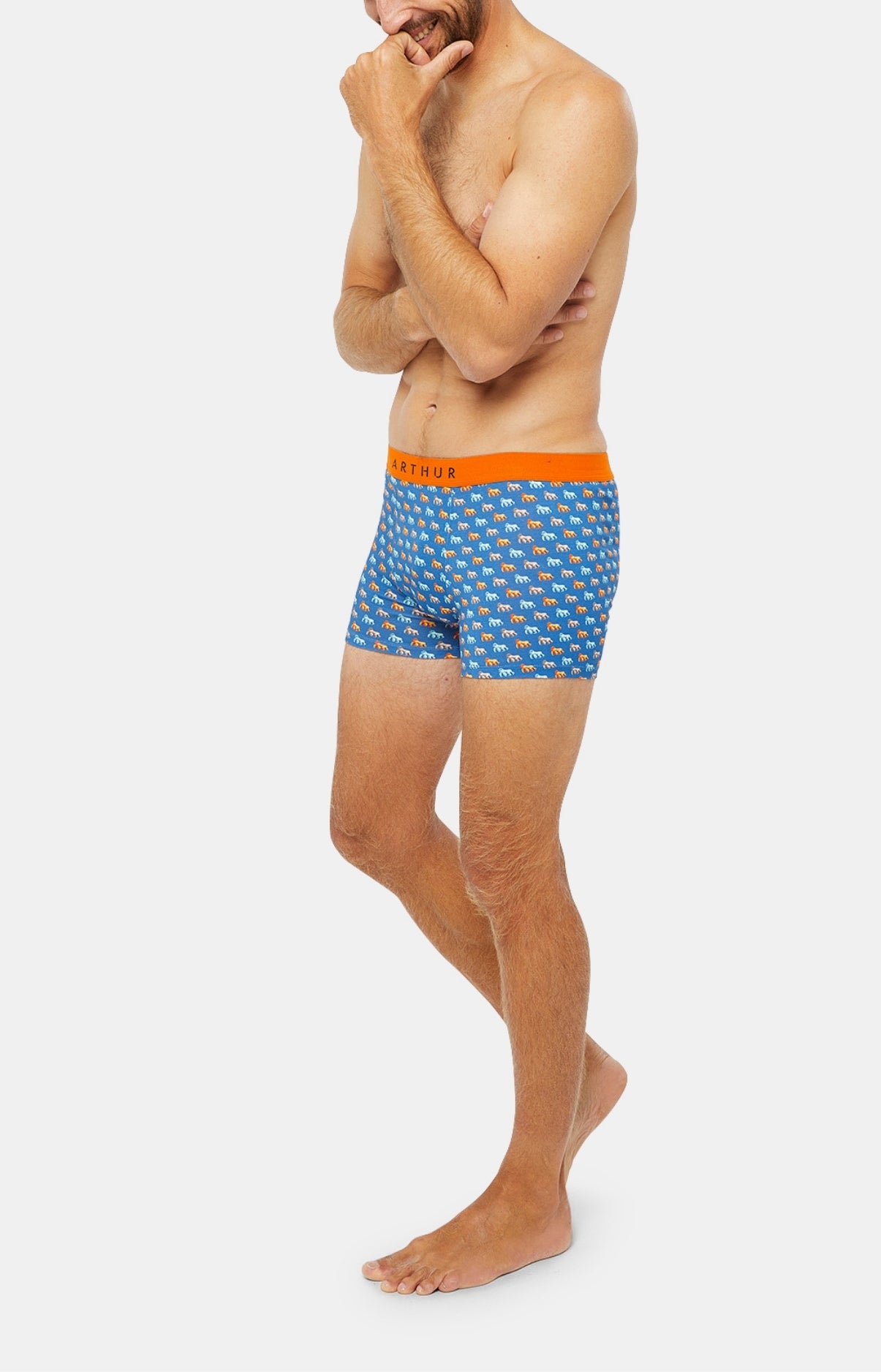arthur-bob-gorille-boxer-coton-bio-bleu image 4