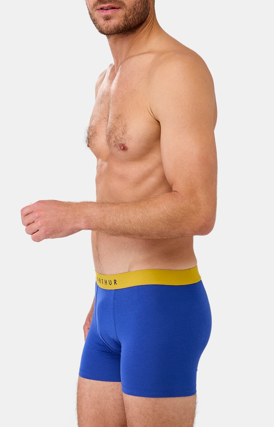 arthur-bob-roi-boxer-homme-coton-bio image 4