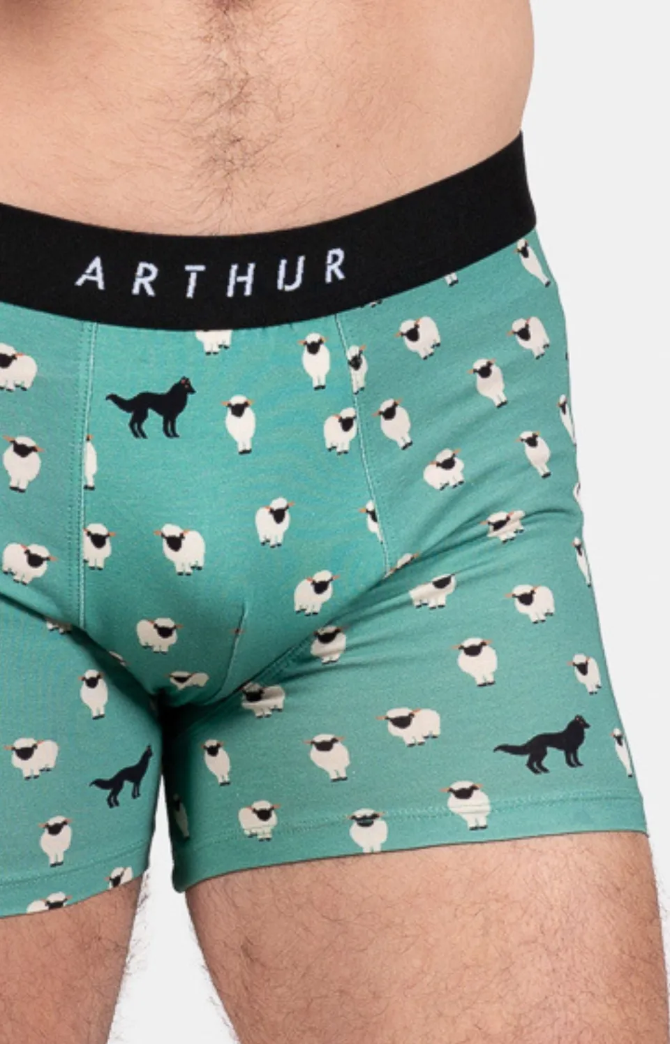 arthur-bob-mouton-vert-boxer-homme-vert-coton-bio image 1