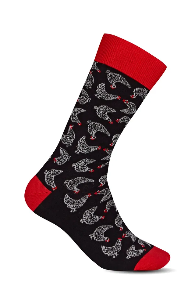 arthur-bob-chaussettes-poules-noir-40-46-coton-fantaisie image 1