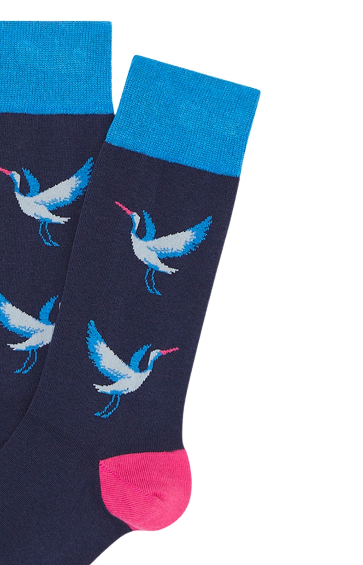 arthur-bob-chaussettes-birdie-marine-coton-bio-40-46 image 2