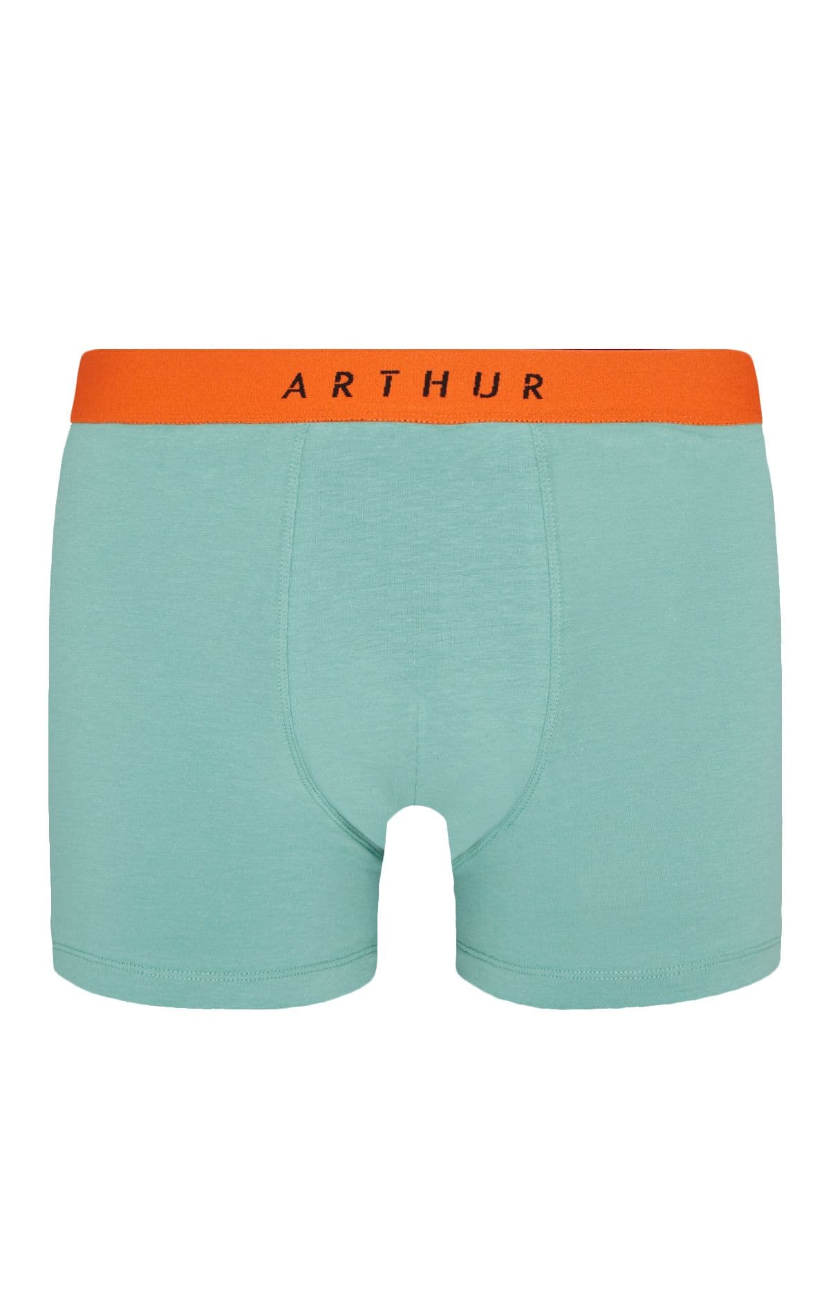 arthur-bob-vert-boxer-homme-coton-bio-uni image 3