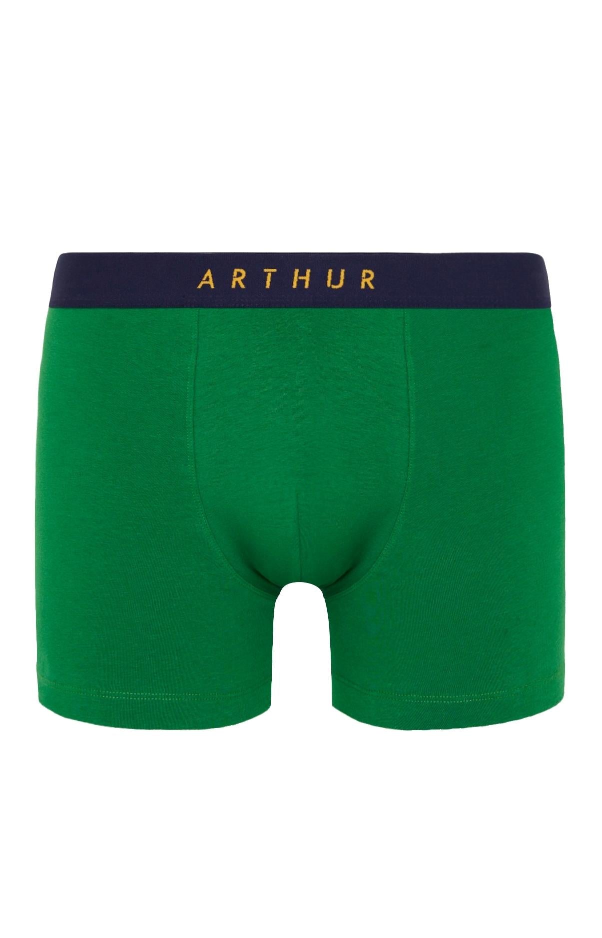 arthur-bob-green-boxer-coton-bio-vert-homme image 3