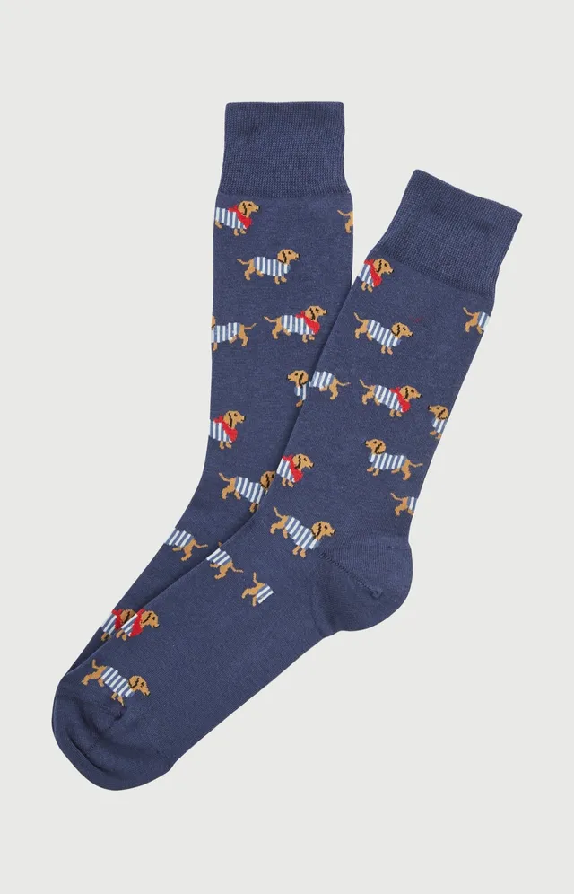 arthur-bob-tobbie-marine-chaussettes-teckel-40-46 image 1