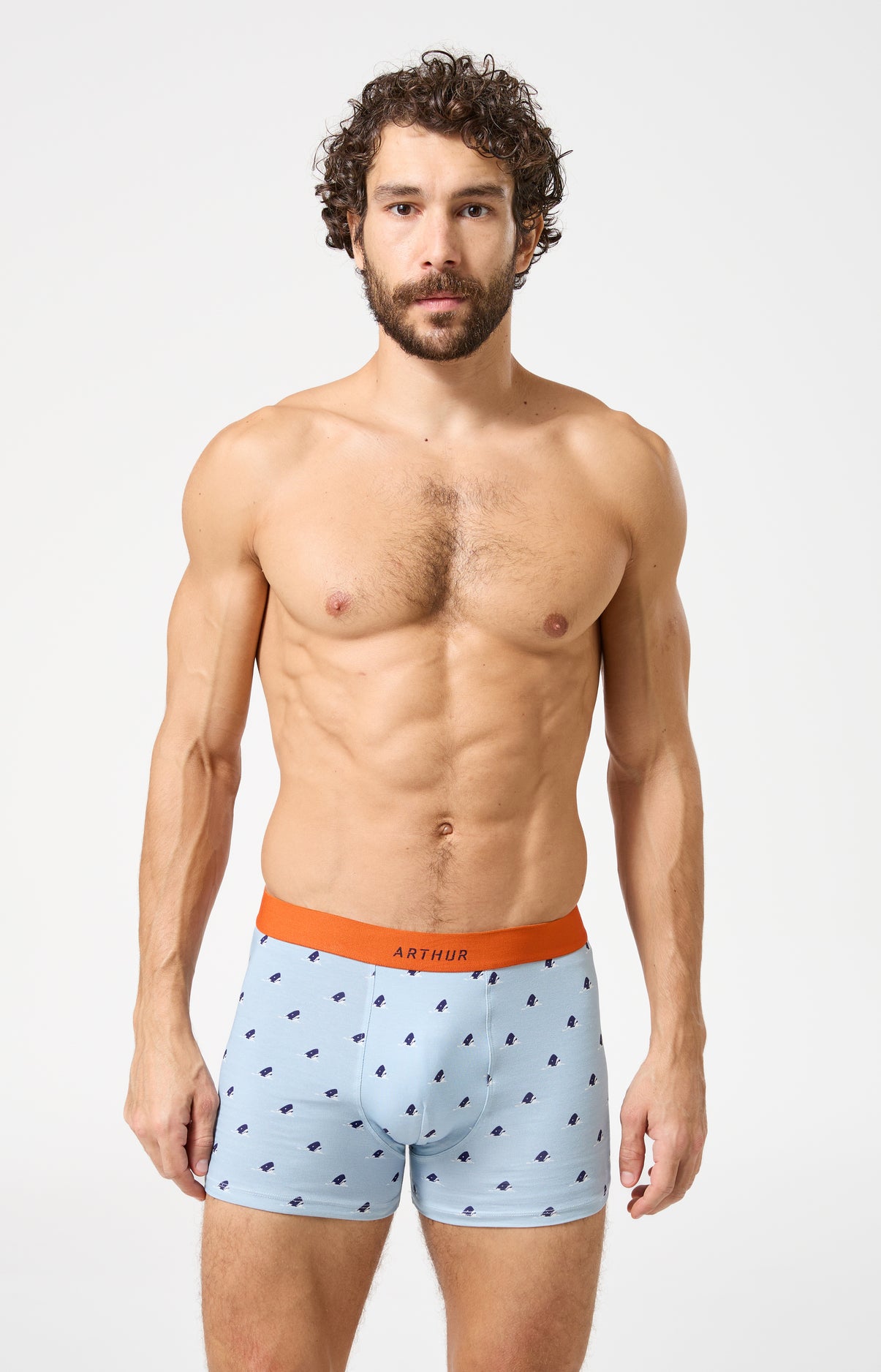 arthur-bob-boxer-dents-de-l-amour-ciel-coton-bio image 2