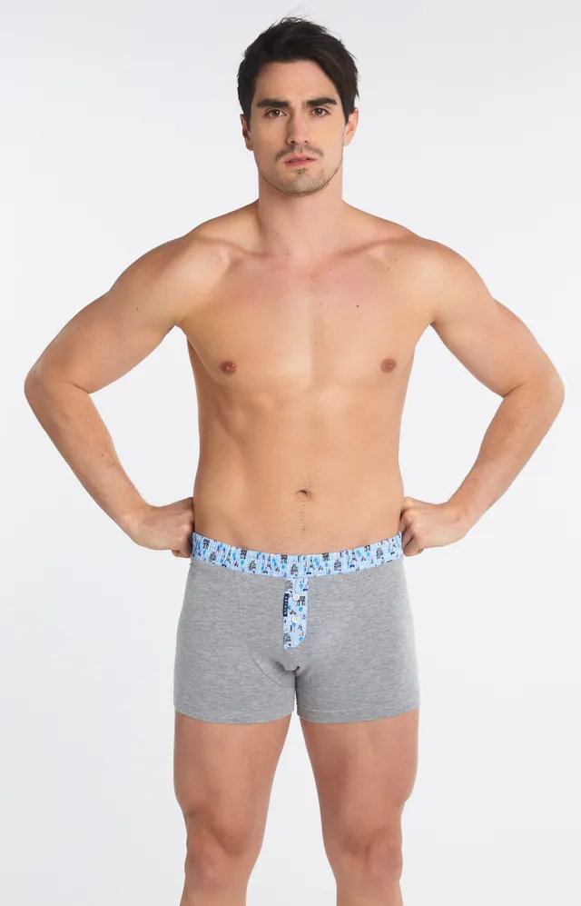 arthur-bob-club-boxer-homme-gris-coton-s-xxl image 1