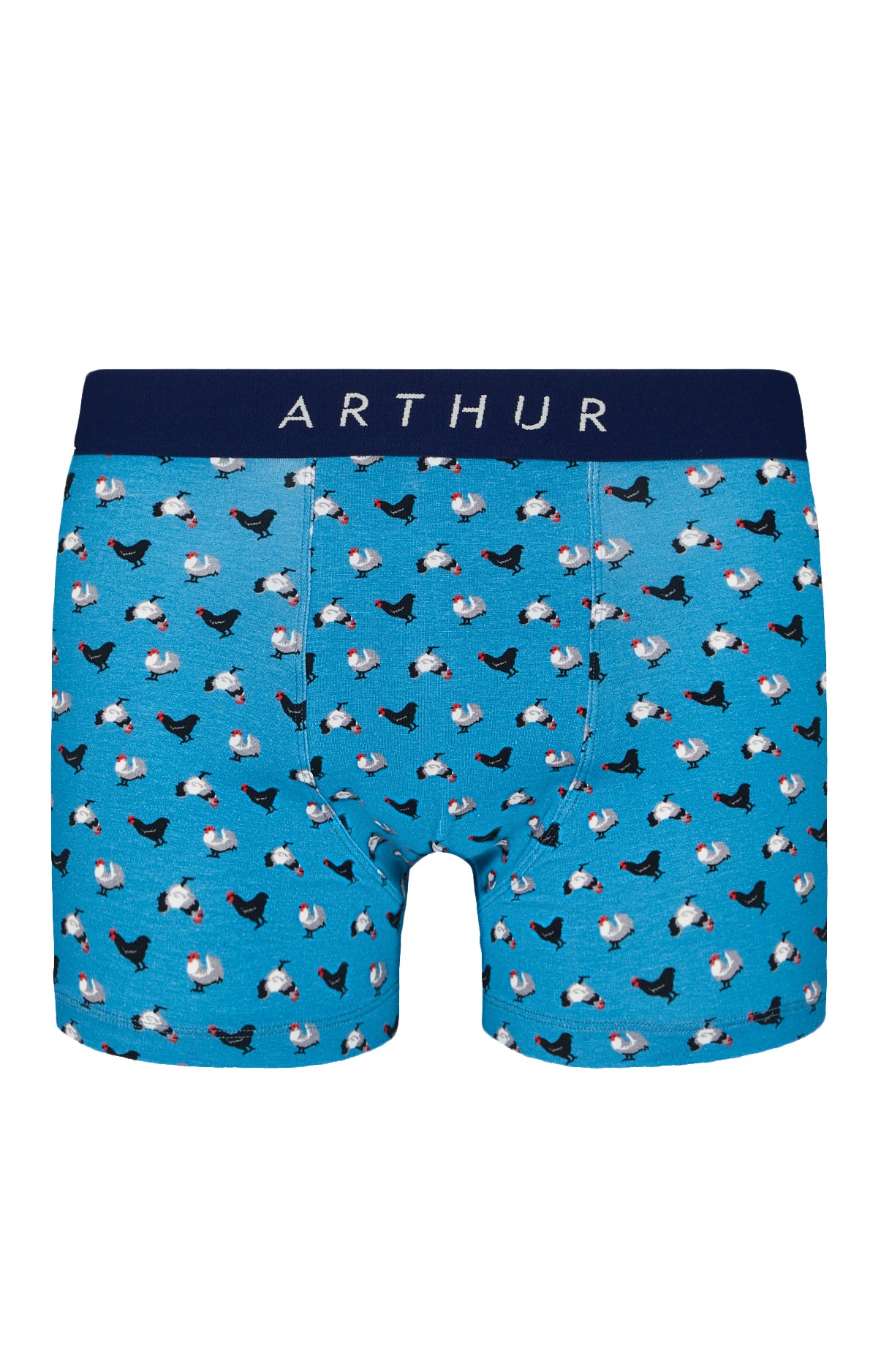 arthur-bob-boxer-poule-acier-seconde-peau image 4