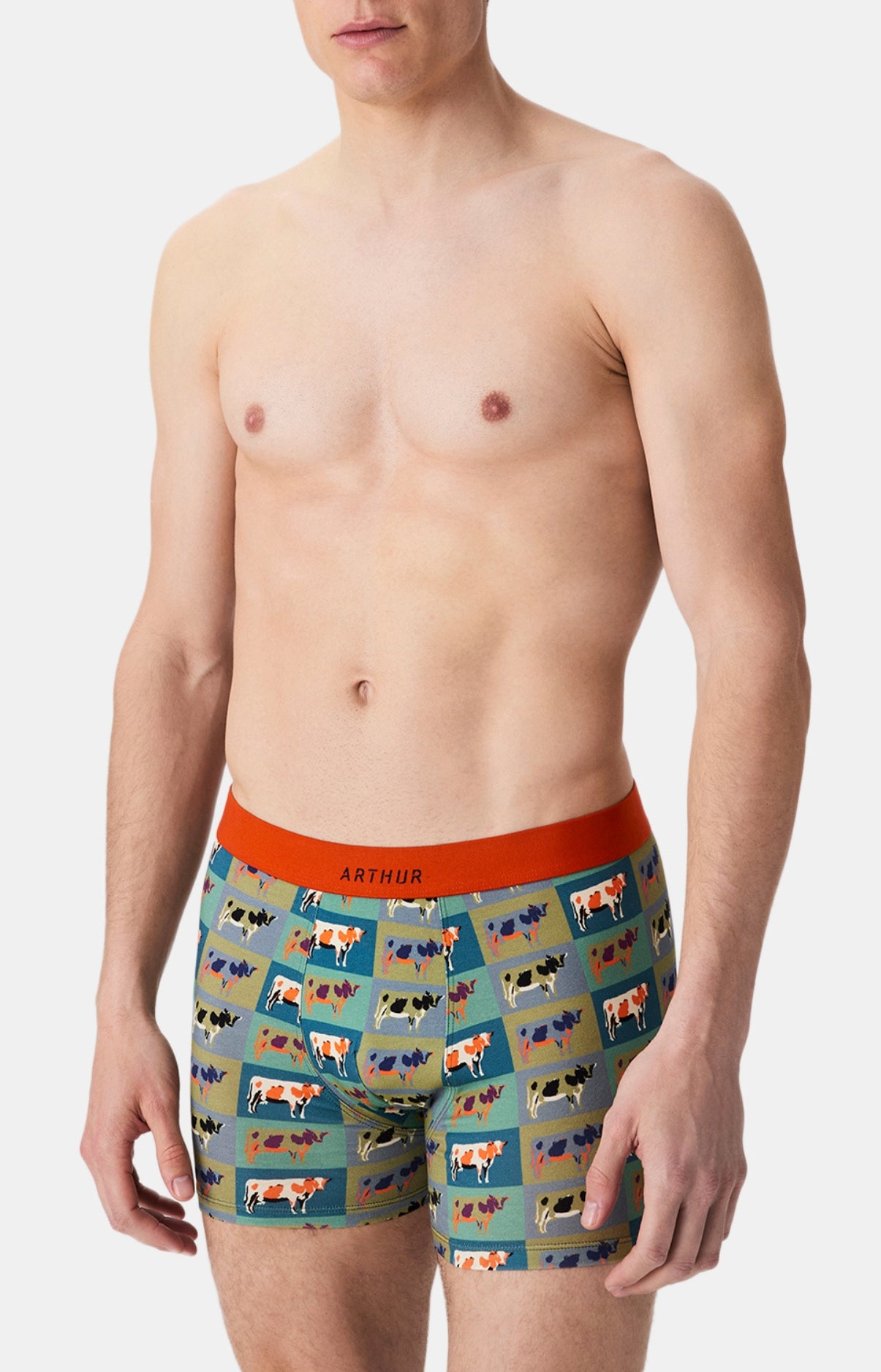 arthur-bob-pop-vache-boxer-homme-coton-bio-multicolore image 4