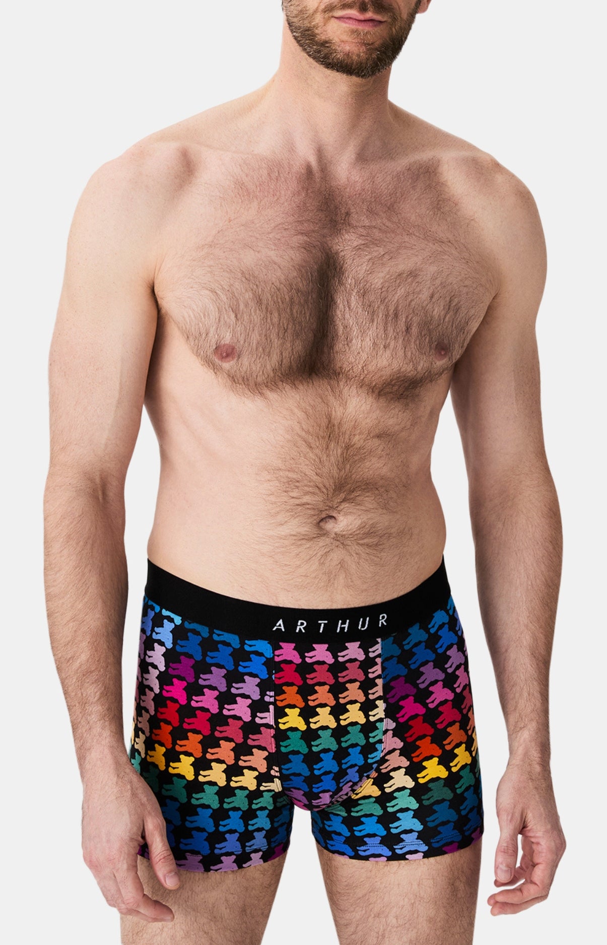 arthur-bob-teddy-bear-boxer-multicolore-coton-bio image 4