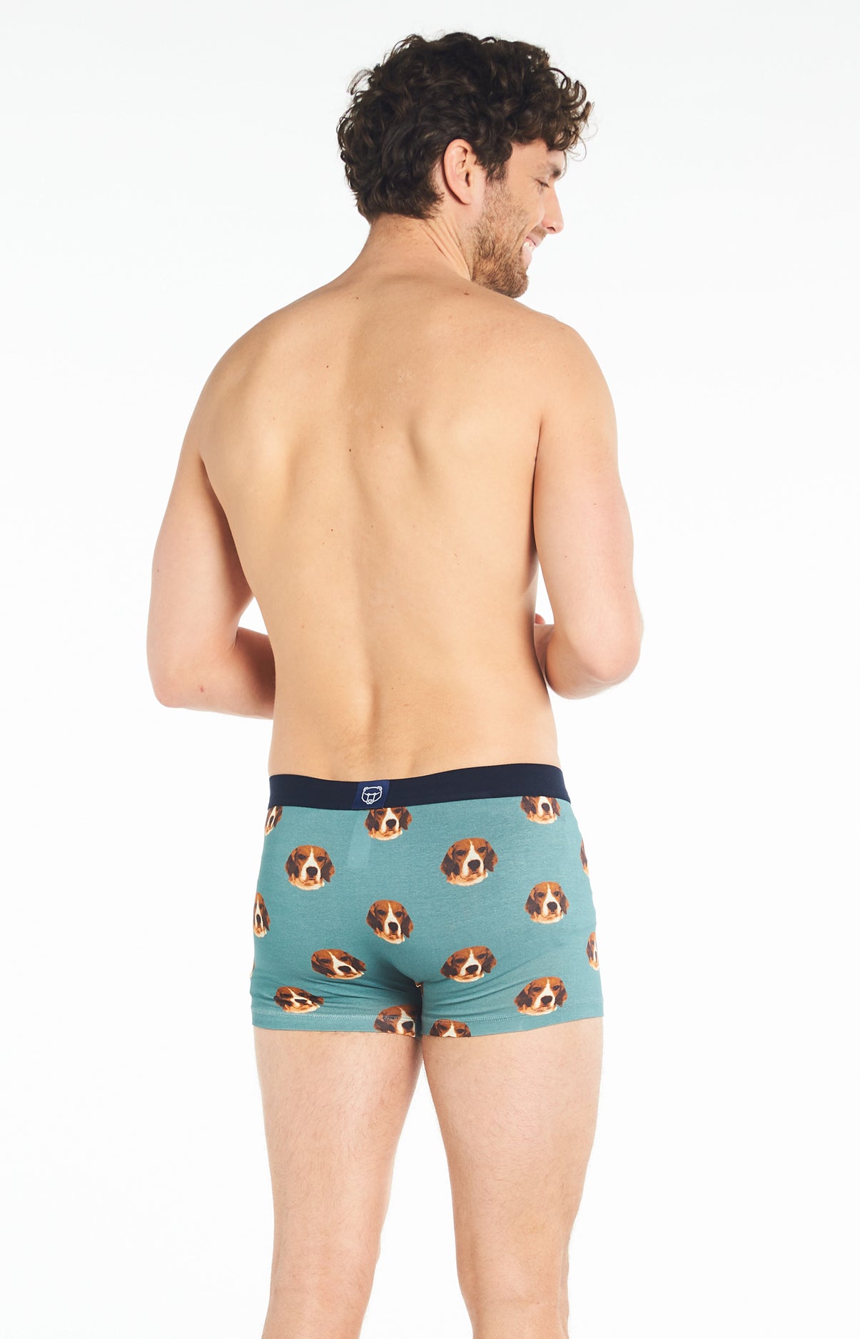 arthur-bob-beagle-boxer-homme-celadon-coton-bio image 5