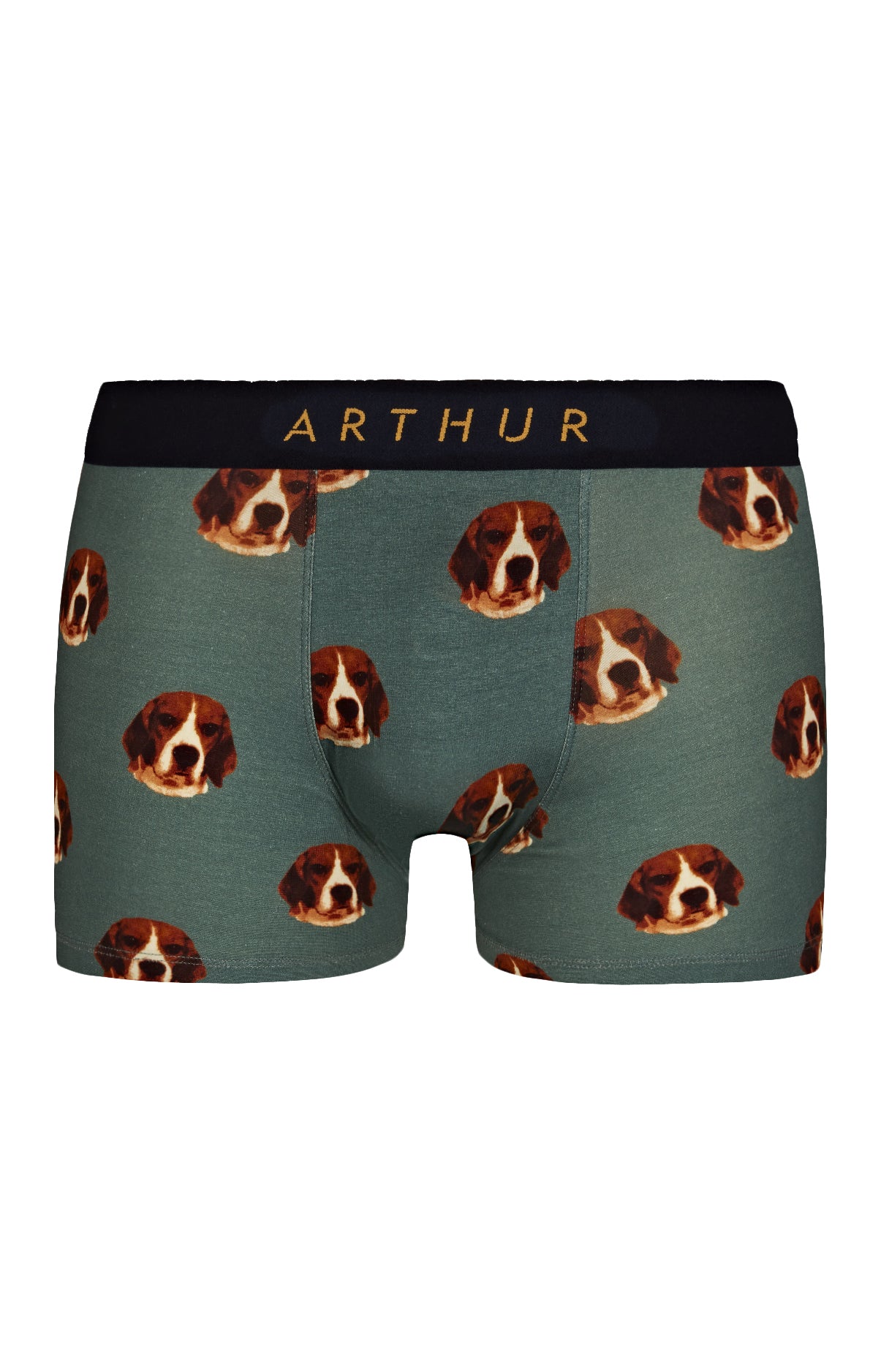 arthur-bob-beagle-boxer-homme-celadon-coton-bio image 3
