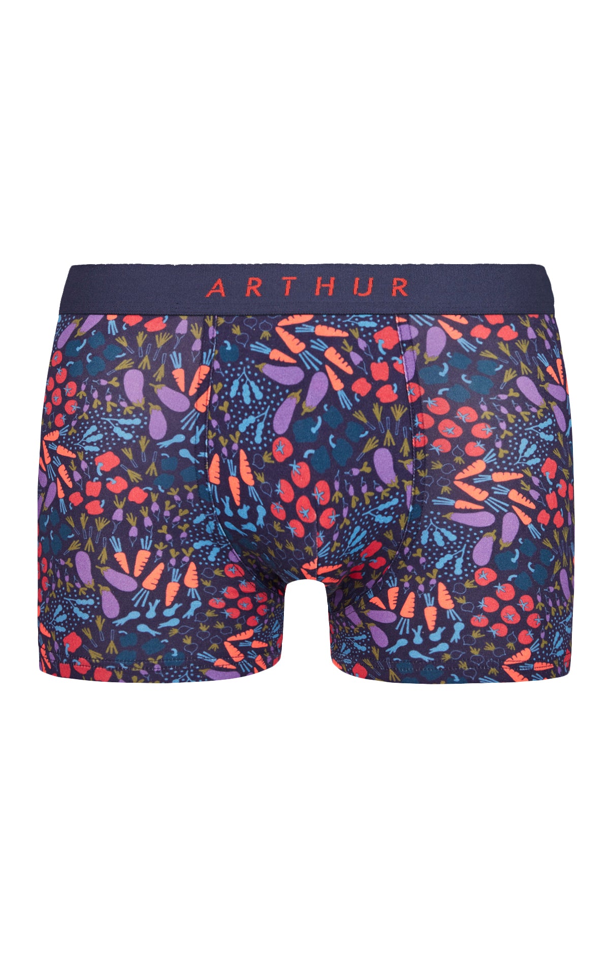 arthur-bob-boxer-potager-coton-bio-marine image 3