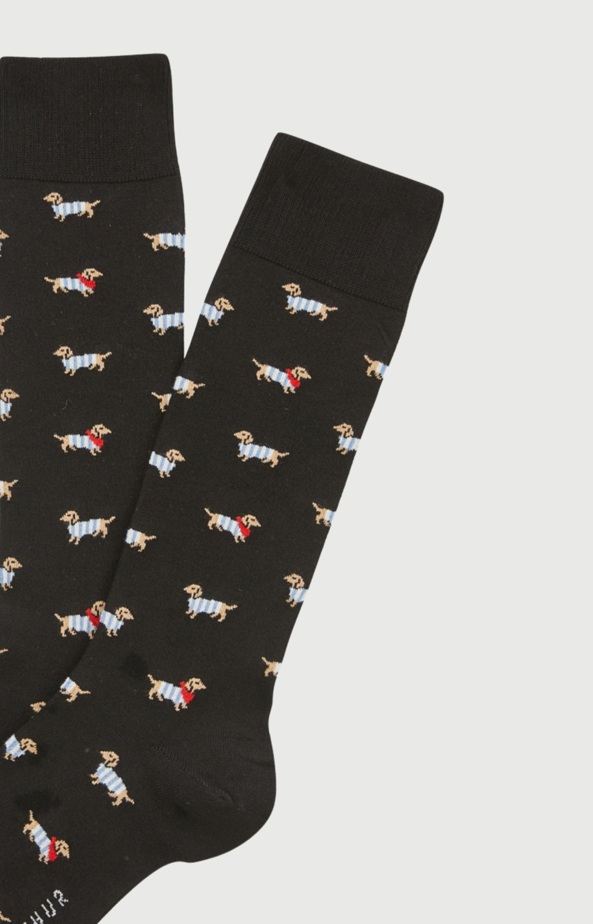 arthur-bob-tobbie-chaussettes-noir-coton-teckel image 2