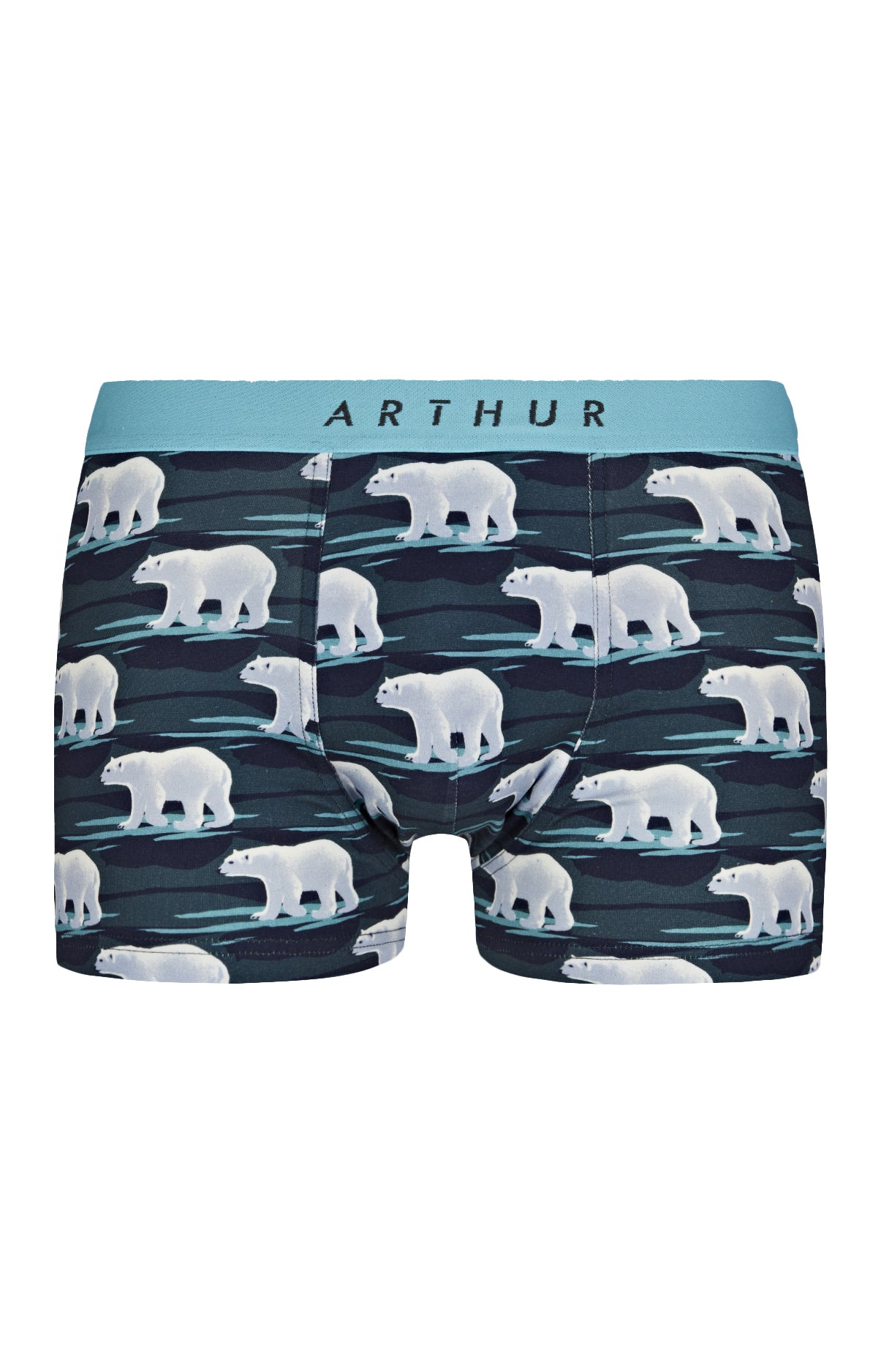arthur-bob-boxer-ours-boxer-ice-coton-bio image 3
