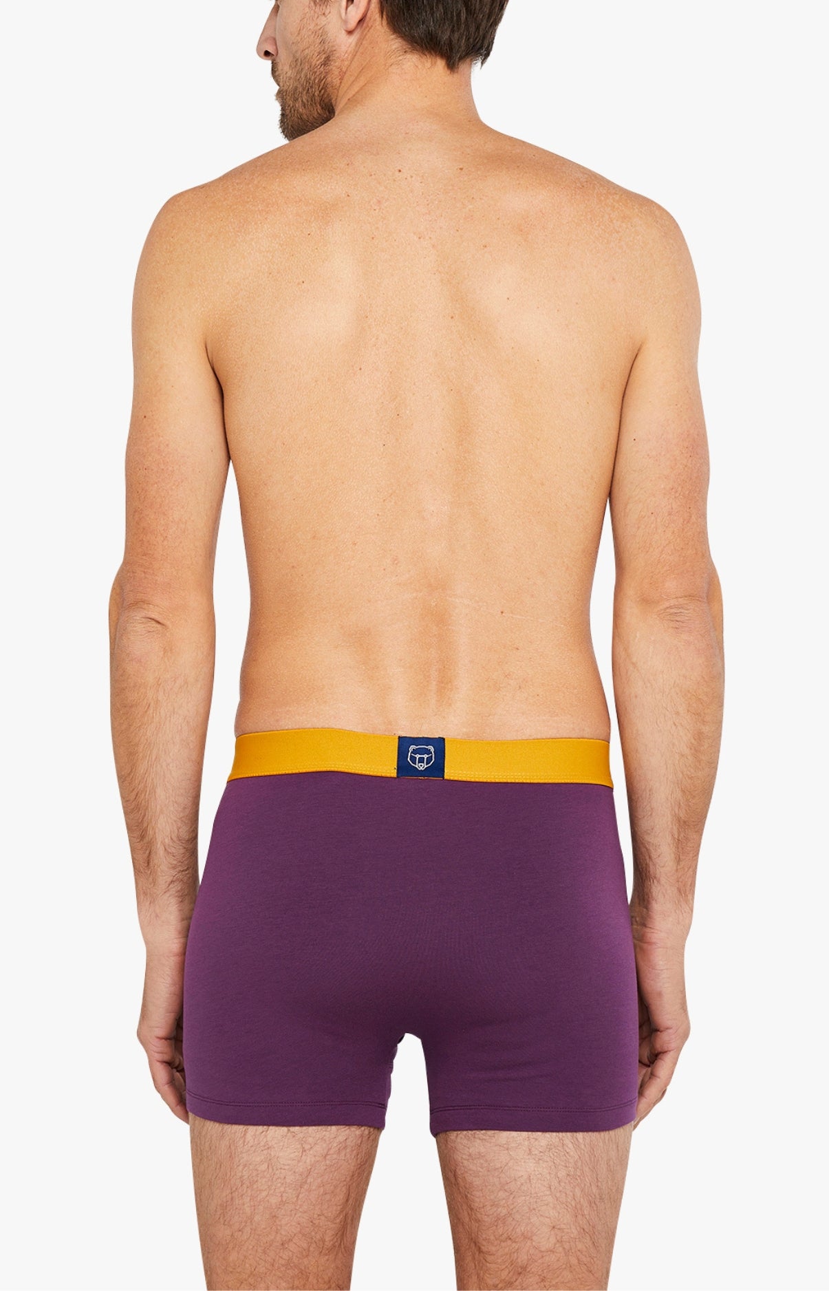 arthur-bob-boxer-coton-aubergine-taille-l-homme image 5