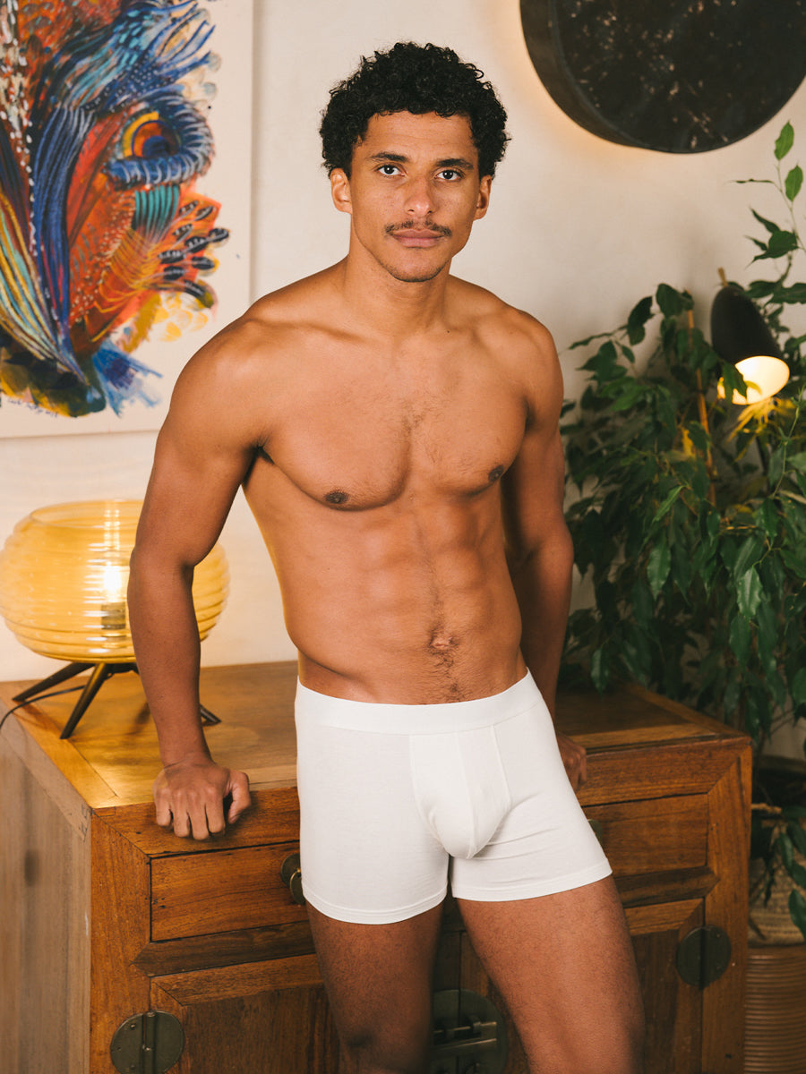 p-trone-boxer-confort-boxer-homme-coton-bio-tencel image 8