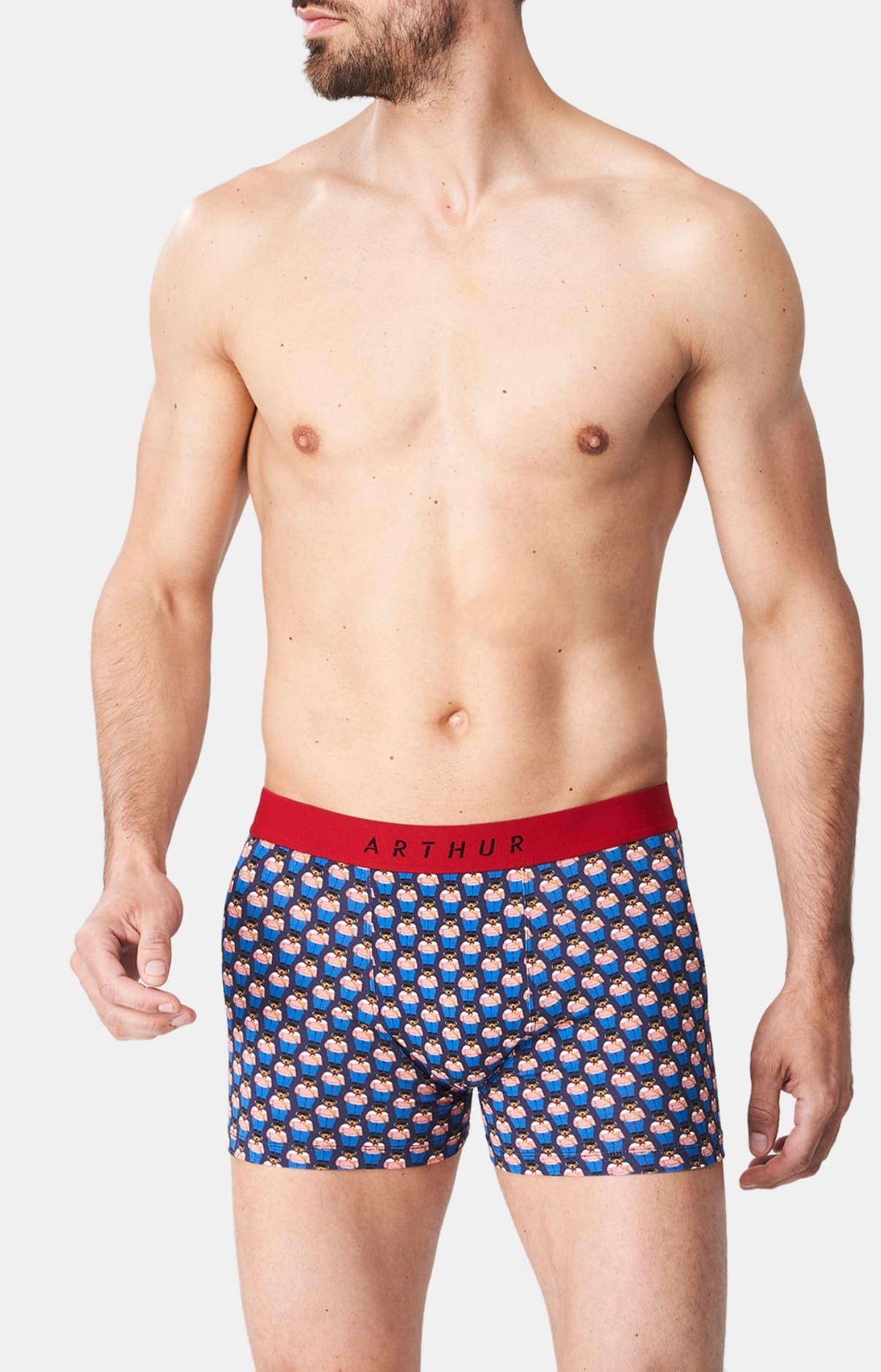 arthur-bob-teddy-in-paris-boxer-coton-bio-marine-homme image 2