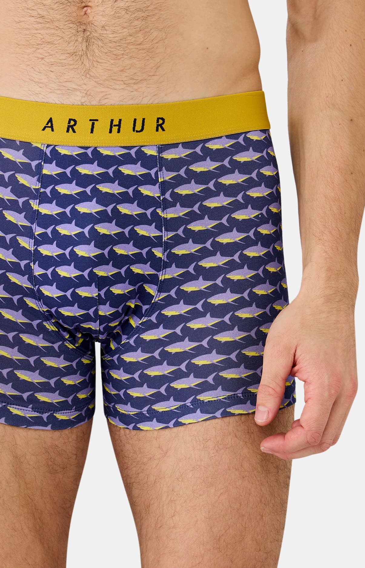 arthur-bob-requin-des-mers-boxer-homme-marine-microfibre image 1