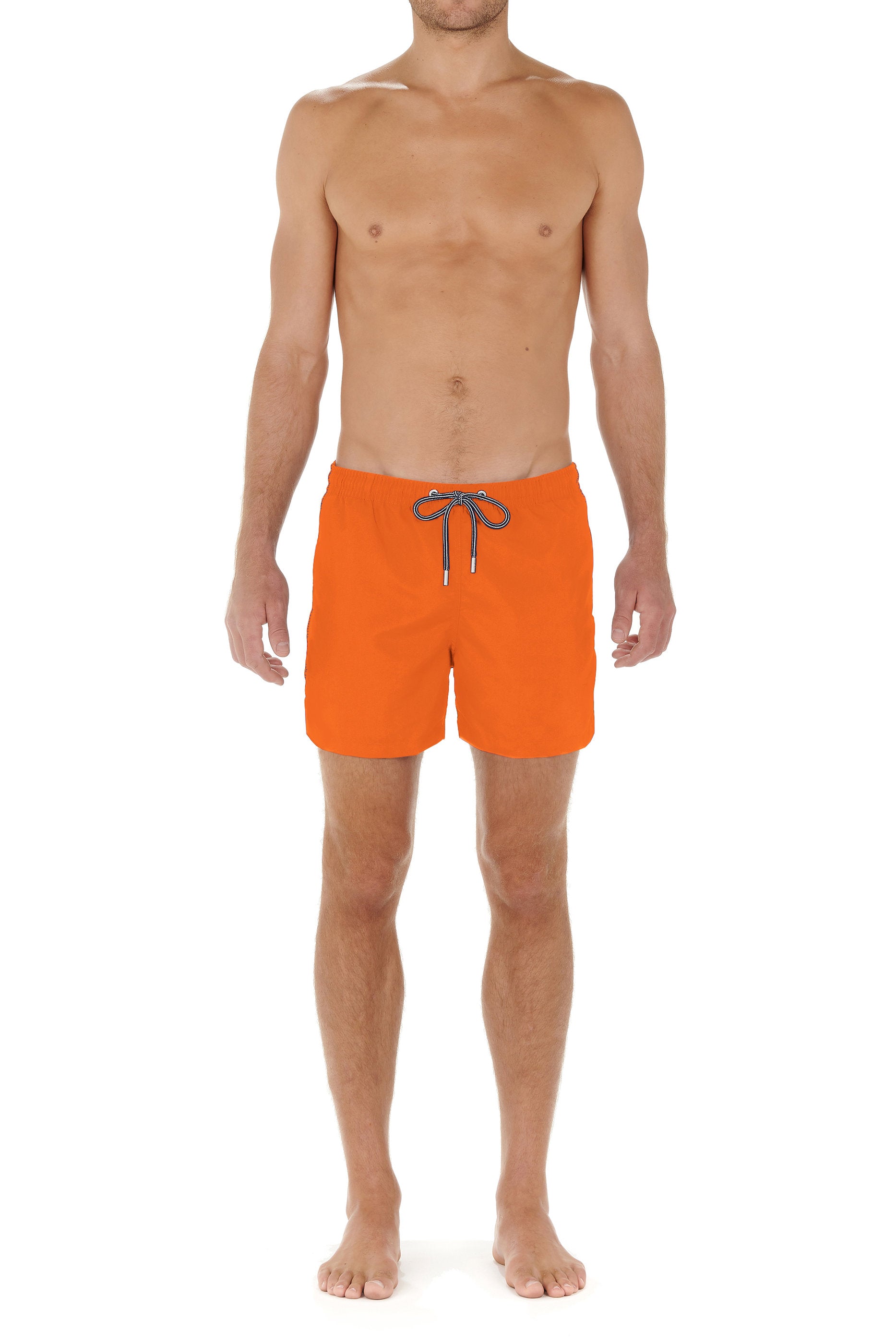 hom-sea-life-402537-401035-boxer-plage-orange image 4