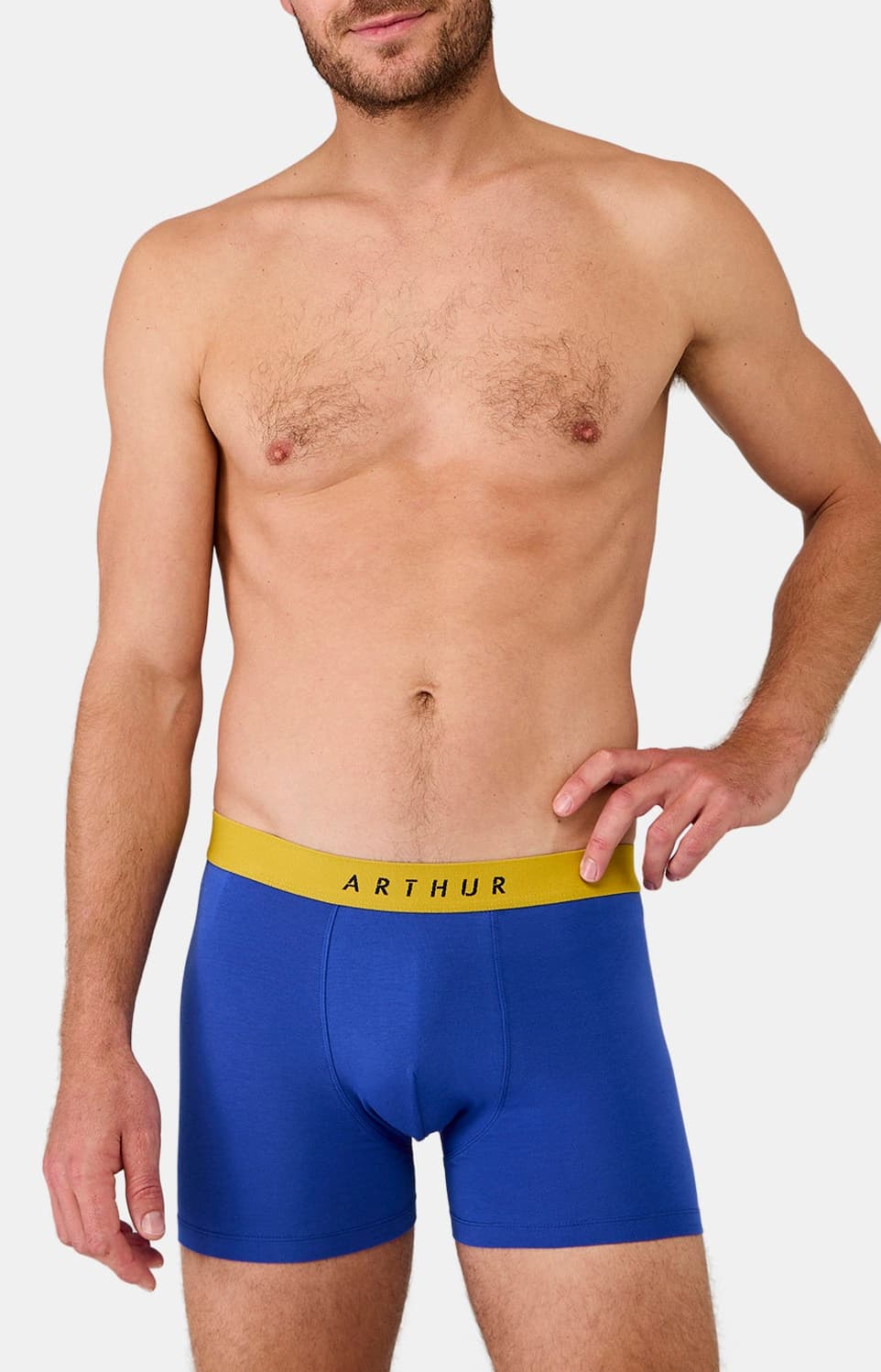 arthur-bob-roi-boxer-homme-coton-bio image 2