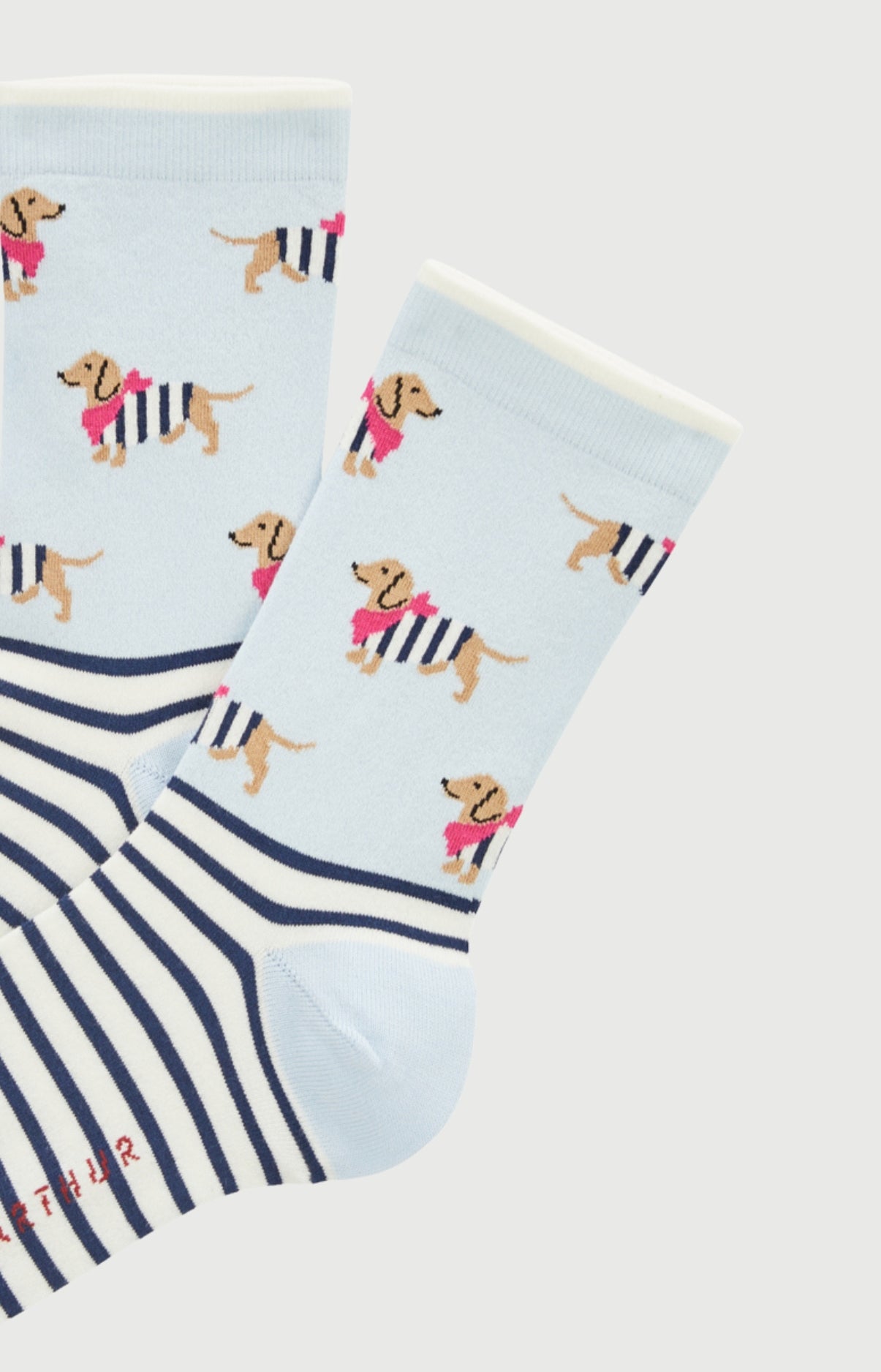 arthur-bob-chaussettes-tobbie-coton-ciel-femme image 2