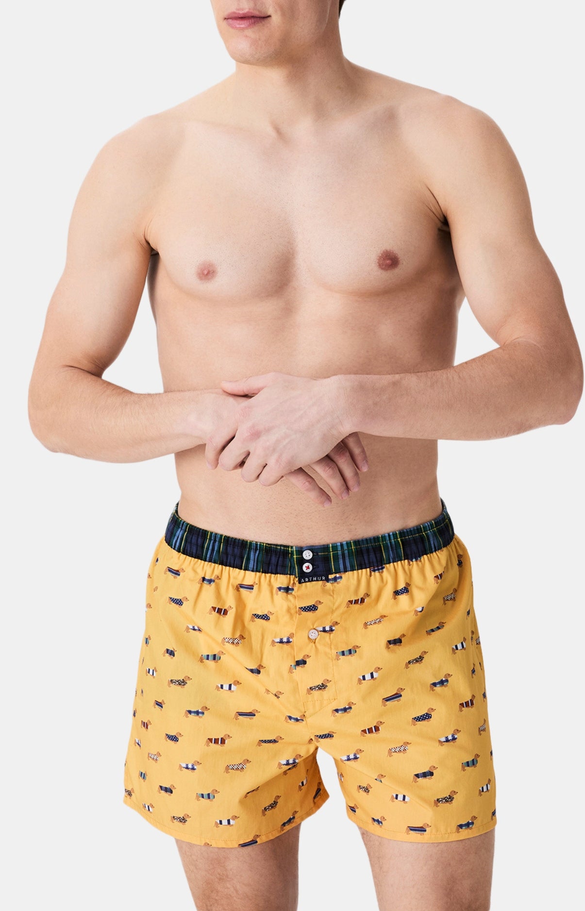 arthur-le-club-cale-on-n-1196-teckel-coton-bio-jaune image 2