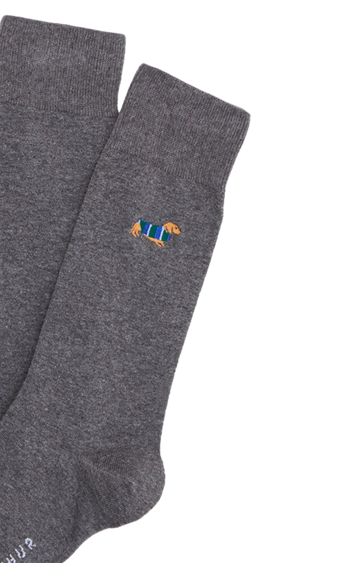 arthur-bob-teckel-gris-chaussettes-gris image 2