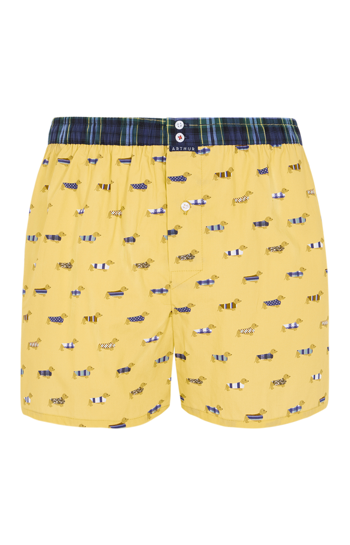 arthur-le-club-cale-on-n-1196-teckel-coton-bio-jaune image 3