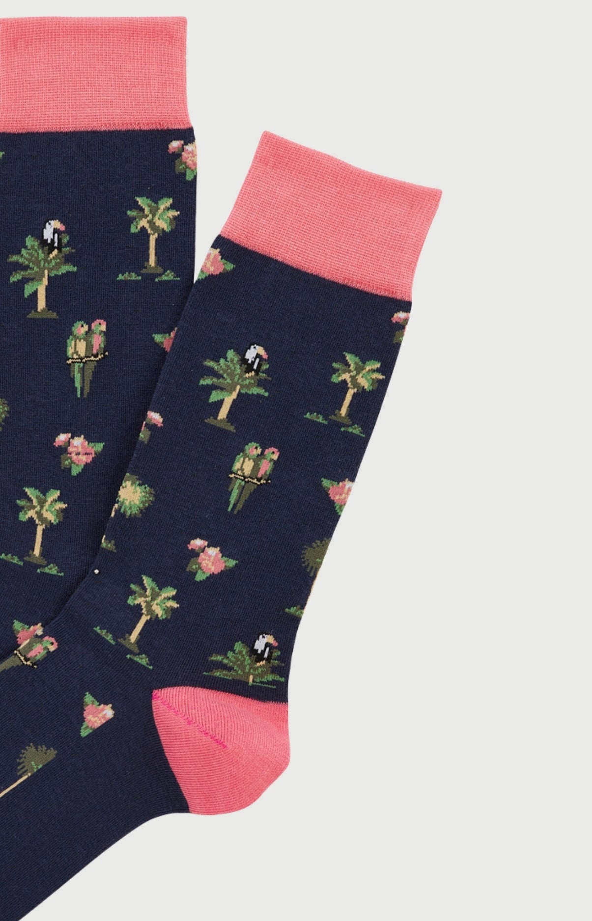 arthur-bob-perroquet-chaussettes-homme-marine-coton image 2