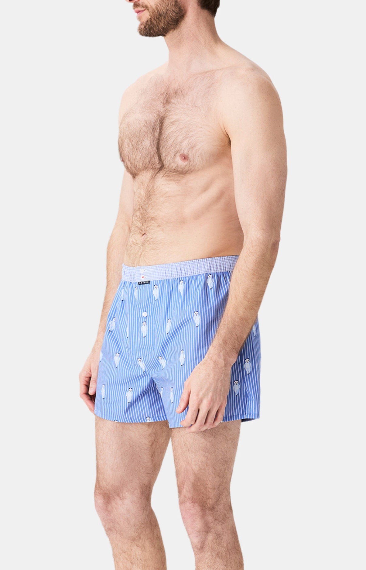 arthur-le-club-n-1189-cale-on-homme-panda-coton-bio image 5