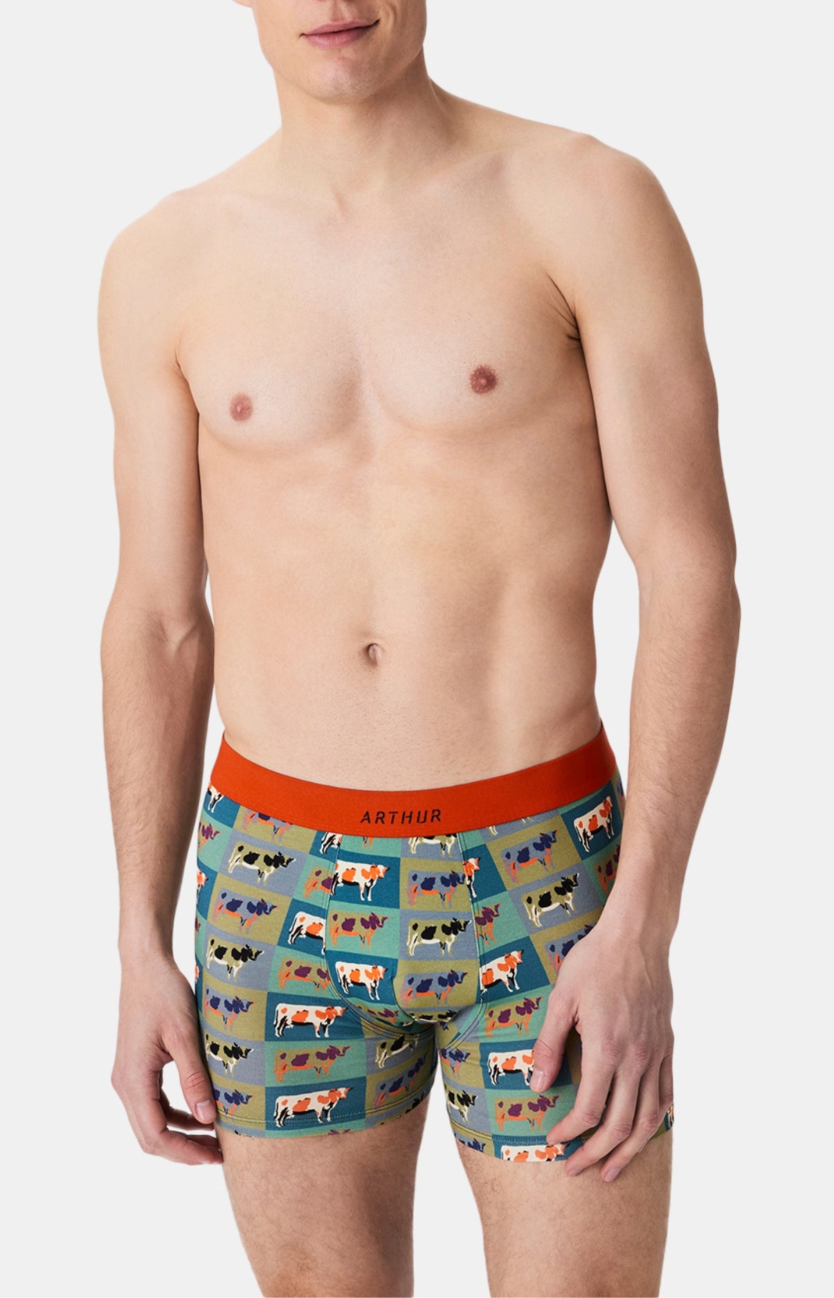 arthur-bob-pop-vache-boxer-homme-coton-bio-multicolore image 2