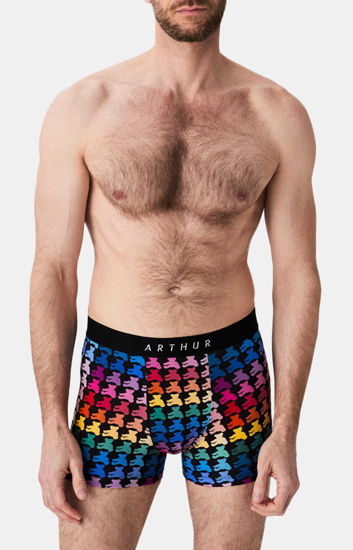 arthur-bob-teddy-bear-boxer-multicolore-coton-bio image 2