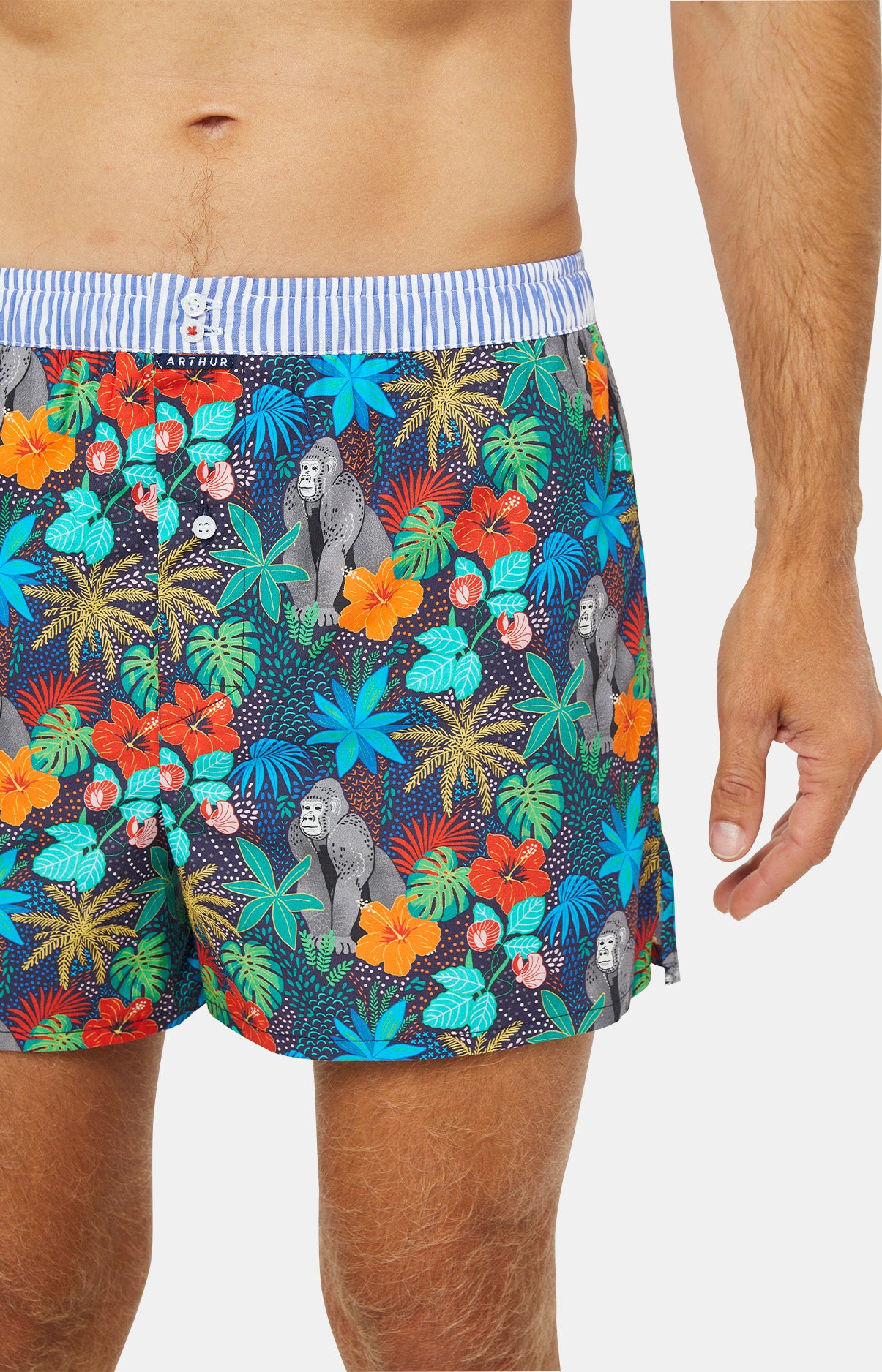 arthur-le-club-n-1047-cale-on-homme-marine-coton-bio image 2