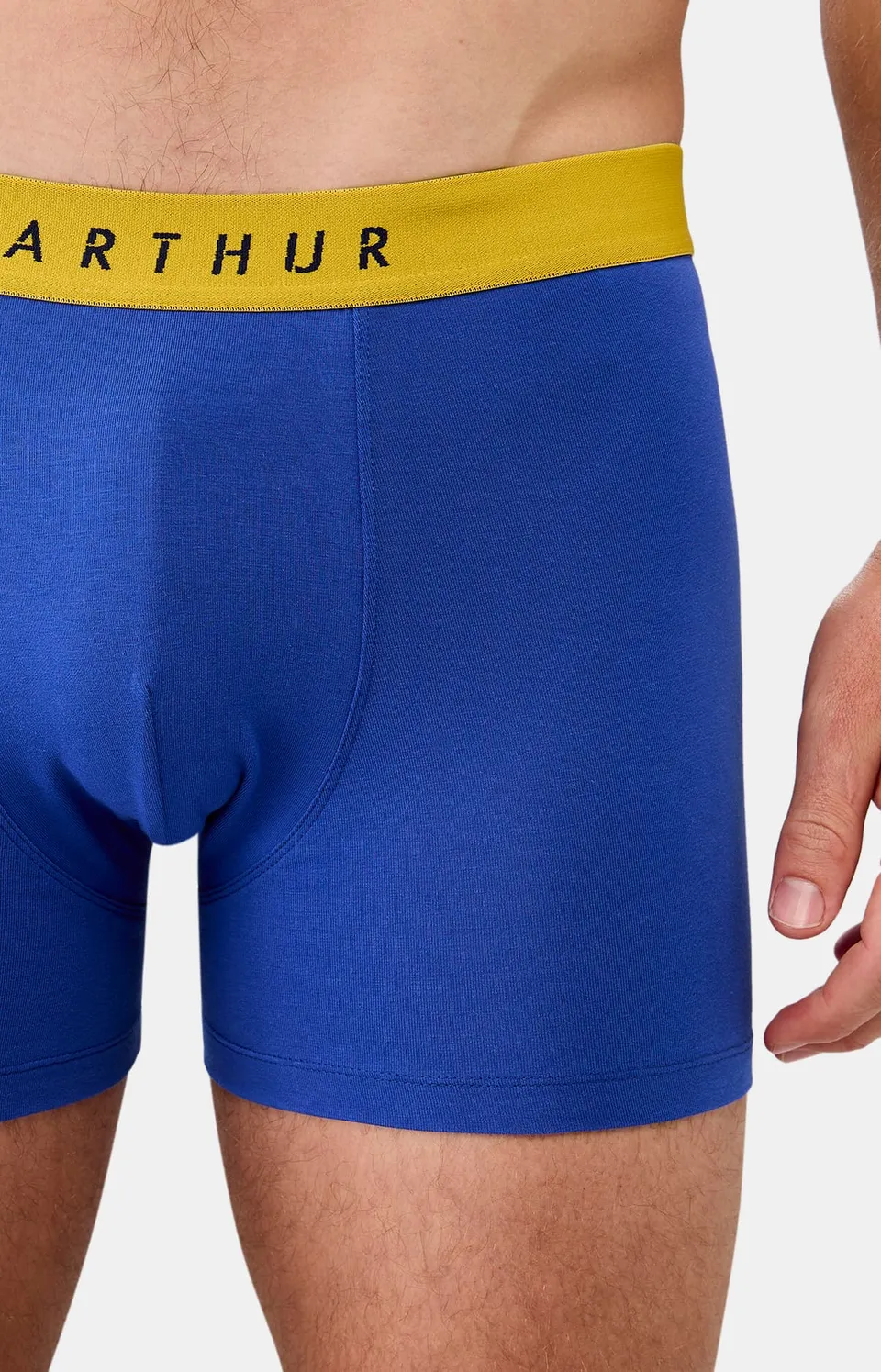 arthur-bob-roi-boxer-homme-coton-bio image 1
