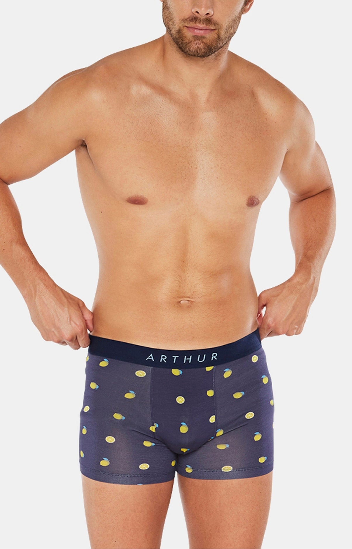 arthur-bob-lemon-boxer-marine-l-citrons-coton-bio image 2