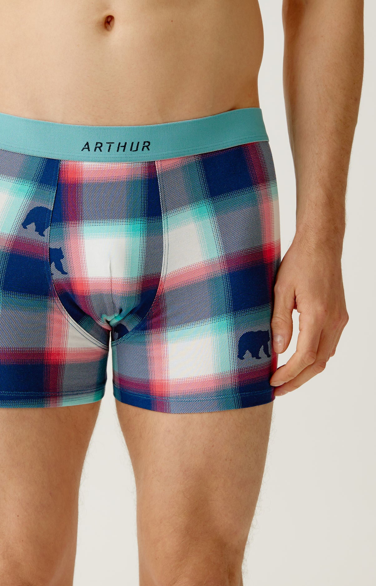 arthur-bob-ours-bear-boxer-coton-marine-multicolore image 1