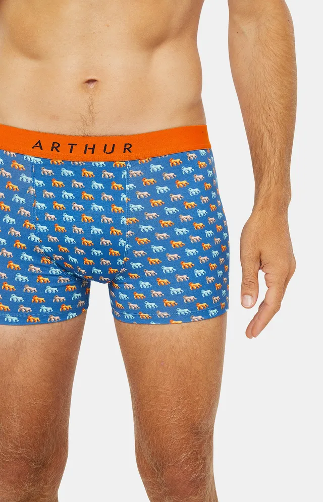 arthur-bob-gorille-boxer-coton-bio-bleu image 1